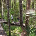 Business 1 image ADVENTURES ON THE HIBISCUS COAST Adventure Tours in Whangaparaoa AUK