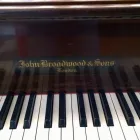 Business 2 image ALEX'S PIANO TUNING SERVICE Piano Tuners & Repairs in Christchurch CAN