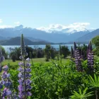 Business 3 image ALPINISM & SKI LTD Technical Expert Ifmga/nzmga in Wanaka OTA