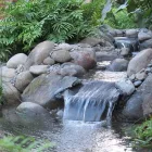Business 7 image AQUATIC LIFESTYLES Water Gardens in Tauranga BOP