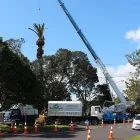 Business 3 image ARBORTECHNIX Winch Extraction in Auckland City AUK