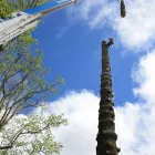 Business 8 image ARBORTECHNIX Winch Extraction in Auckland City AUK
