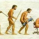 Business 1 image ATLAS CHIROPRACTIC Chiropractor in Tauranga BOP