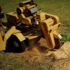 Business 2 image AUCKLAND TREE STUMP GRINDERS Tree Stumps in Auckland NTL
