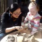 Business 1 image BEAR PARK EARLY CHILDCARE CENTRE Day Care in Auckland NTL