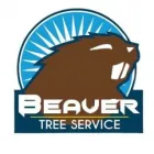 Business 4 image BEAVER TREE SERVICES WELLINGTON Tree Surgeons in Lower Hutt WGN