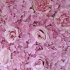 Business 2 image BELLADONNAFLOWERSNZ Flower Wholesalers in Birkenhead AUK
