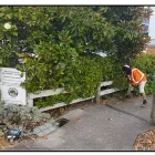 Business 2 image BRITON Plumbers in Auckland City AUK