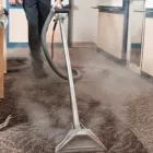 Business 3 image CARPET CLEANING FORCE Carpet & Furniture Cleaning in Auckland City AUK