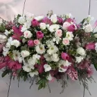 Business 5 image CENTRAL CITY FLOWERS Florists in Christchurch CAN
