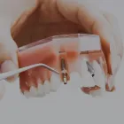 Business 3 image CHAPEL PARK DENTAL Dentists in Auckland City AUK