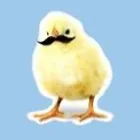 Business 1 image CHICK TECH Toner in Auckland NTL