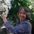 Business 1 image CLEANSING HEART HEALING Trauma in Tauranga BOP