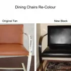 Business 16 image COLOR GLO INTERNATIONAL Vinyl Restoration in Auckland NTL
