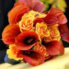 Business 1 image CRAIG RADFORD Weddings in Christchurch CAN