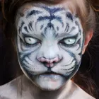 Business 4 image DAIZY DESIGN FACE PAINTING Children's Entertainment in Kapiti WGN