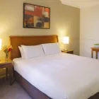 Business 6 image DISTINCTION PALMERSTON NORTH HOTEL & CONFERENCE CENTRE Hotel in Palmerston North MWT