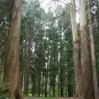 Business 2 image EASTWOODHILL ARBORETUM Tours & Sightseeing in Gisborne GIS
