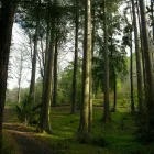 Business 5 image EASTWOODHILL ARBORETUM Tours & Sightseeing in Gisborne GIS