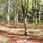 Business 1 image EASTWOODHILL ARBORETUM Tours & Sightseeing in Gisborne GIS