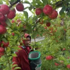 Business 8 image ECO LODGE PAKOWHAI Seasonal Work in Hastings Area HKB