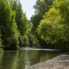 Business 4 image EL RANCHO Holiday Parks & Camping Grounds in Kapiti WGN