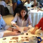 Business 3 image ELEVATE CORPORATE TEAM EVENTS Team Building Wellington in Auckland NTL