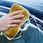 Business 4 image FIRST CLASS AUTO LTD. Paint Protection in Auckland NTL