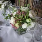 Business 2 image FLOWER GALLERY - BY VIRGINIA THOMPSON Weddings in Waiheke Island AUK