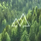 Business 1 image FOREST SERVICES LTD Forestry Consultants in Wellsford Area AUK