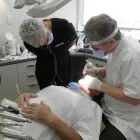 Business 3 image GENTLE DENTAL COMPANY - GUS CAMERON Dentists in Whangarei NTL