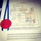 Business 2 image GLOBAL TRANSLATIONS Voiceover in Palmerston North MWT