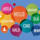 Business 3 image GLOBAL TRANSLATIONS Voiceover in Palmerston North MWT