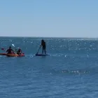 Business 3 image GOLDEN BAY HOLIDAY PARK TUKURUA BEACH Holiday Parks & Camping Grounds in Takaka Area NSN