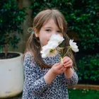 Business 3 image GREENLANE CHILDCARE CENTER Child Care & Education in Auckland City AUK