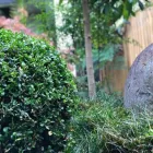 Business 2 image GREENROOM PROJECTS Landscaping in Auckland City AUK