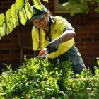 Business 2 image JIM'S MOWING AIDANFIELD Lawnmowing Services in Christchurch CAN