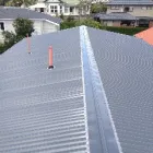 Business 1 image JP FRANKLIN ROOFING Roofing Maintenance in Auckland City AUK