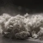 Business 1 image JPF ASBESTOS Asbestos in Auckland City AUK