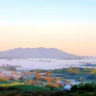 Business 20 image KAMAHI COTTAGE 5-STAR FARMSTAY ACCOMMODATION Luxury Accommodation in Otorohanga WKO