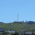 Business 1 image KARLA NORTON VIOLIN Violin Tutor in Wellington AUK