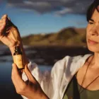 Business 2 image KOA BOTANICS Aromatherapy Products in Rotorua BOP