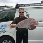 Business 2 image KYLE AIR LIMITED Refrigeration Service in Auckland NTL