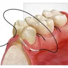 Business 2 image LANCE WEST Oral Surgeons in Auckland City AUK