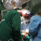 Business 4 image LANCE WEST Oral Surgeons in Auckland City AUK