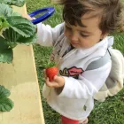 Business 2 image LEARNINGLINKSCHILDCARE Child Care & Education in New Lynn AUK