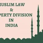 Business 3 image LEGAL HELP NRI Wills in Auckland NTL