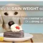 Business 2 image MAHARISHI AYURVEDA PRODUCTS NEW ZEALAND LTD Natural Remedies in Auckland NTL