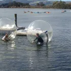 Business 2 image MANA ADVENTURES Adventure Tours in Rotorua BOP