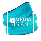 Business 1 image MEDIA GIANT Websites in Lower Hutt WGN